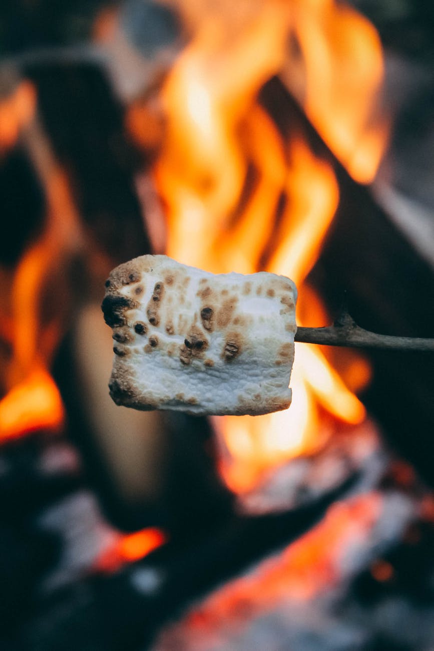 close up shot of a marshmallow