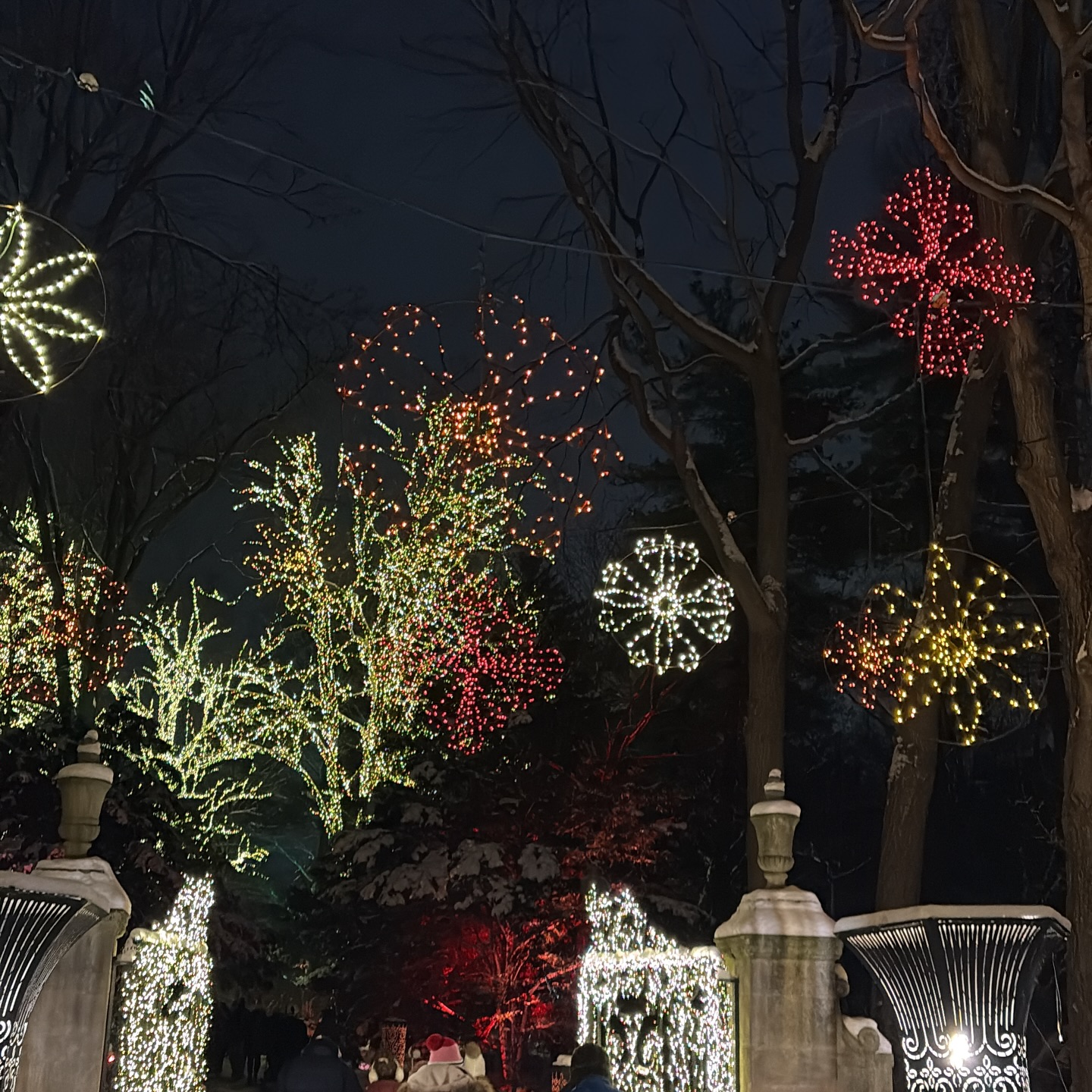 Walking in a winter wonderland at Newfields tonight at Winterlights @newfieldstoday #winterlights #winterwonderland