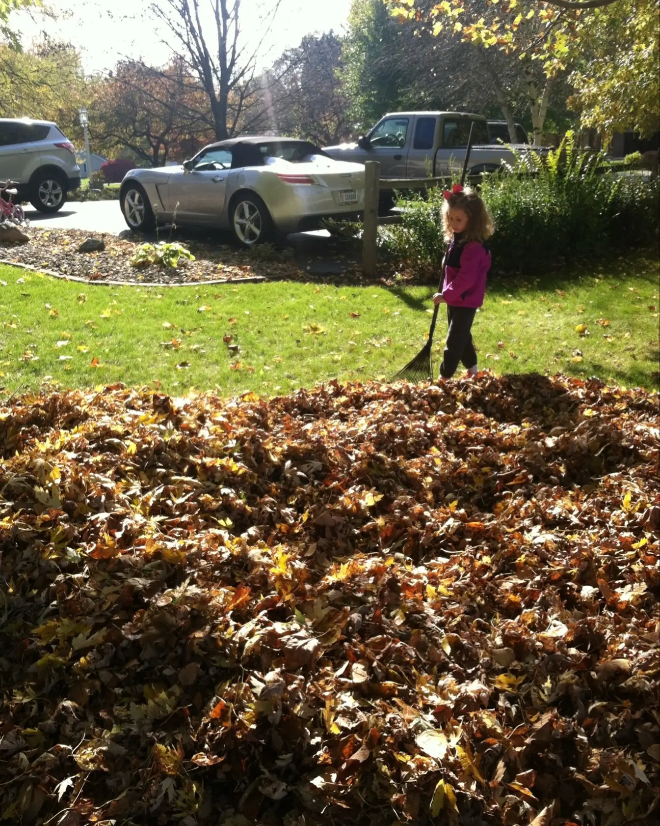 I purely do miss these days of raking endless piles of leaves and then the raging fires we’d have after!  Loved that house, those trees, and that life. #nostalgicfallvibes #rakingleaves #myoldlife #myoldhome